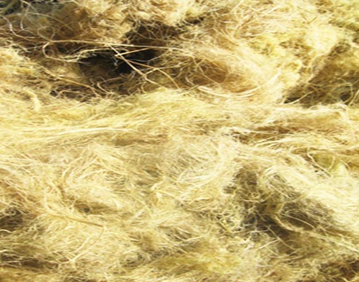 Fabricant de fibres de bambou brutes